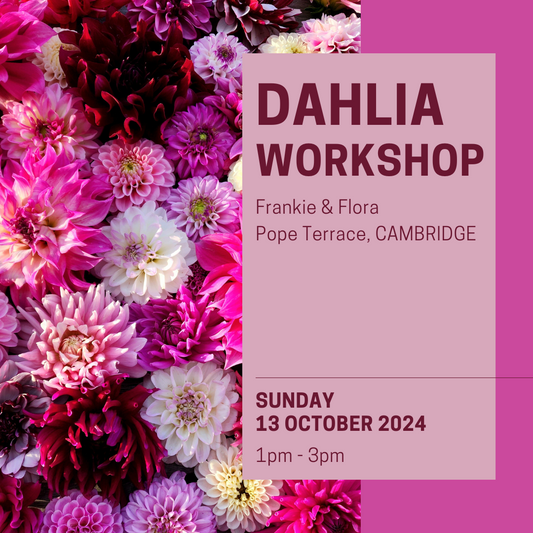 Dahlia Workshop | Frankie & Flora | Sunday October 13th (1pm-3pm)